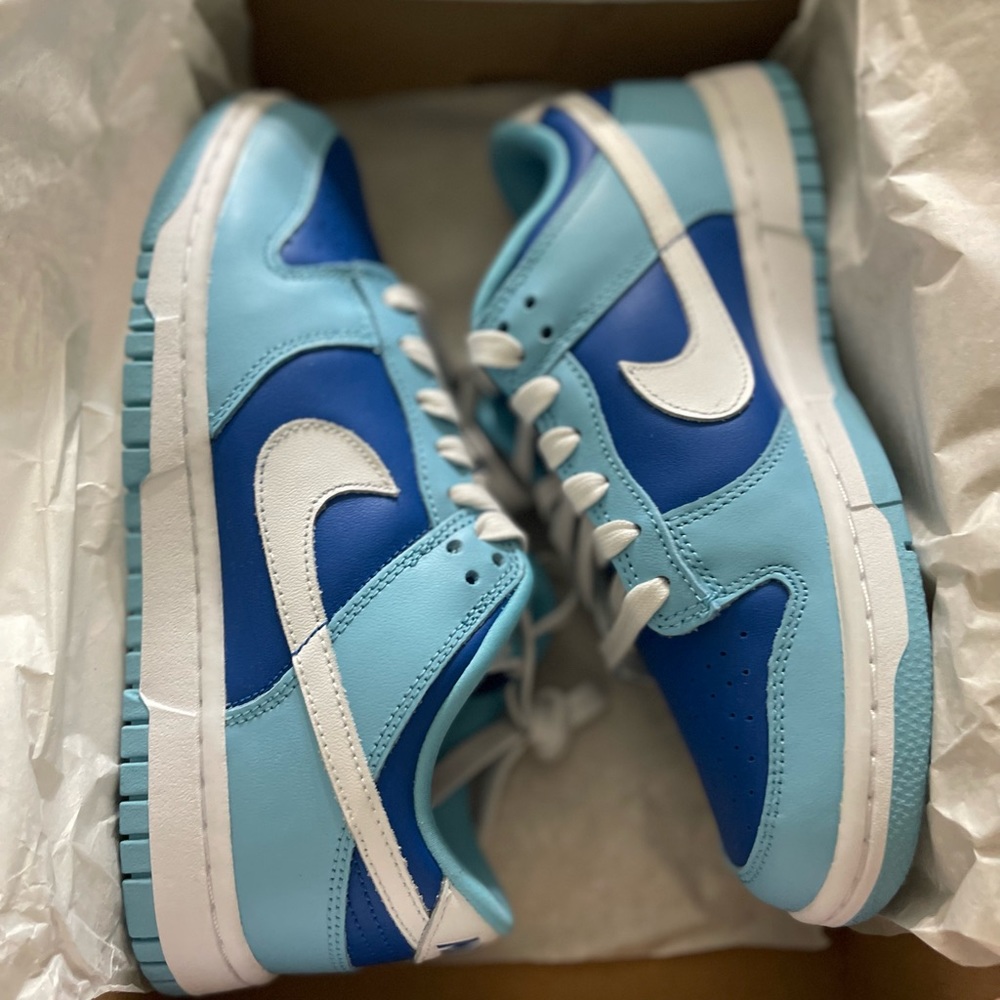 Nike dunks